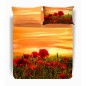Super king size sheet set Papaveri Caleffi