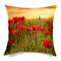 Cushion Papaveri