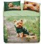 Double Bed Size sheet set Mr. Dog Bassetti