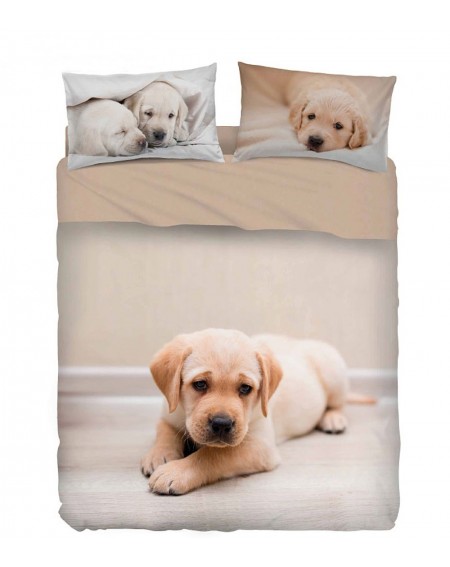 Double Bed Size sheet set Golden Bassetti