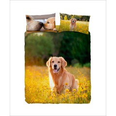 Parure de draps / couvre-lit DEUX PLACE WILLY BASSETTI