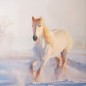 Completo Copripiumino Letto Matrimoniale WHITE HORSE Imagine Bassetti