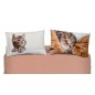 Bettbezug Set Bettwäsche BIZET Katze Imagine Bassetti
