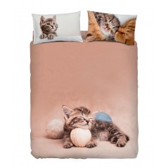 Bettbezug Set Bettwäsche BIZET Katze Imagine Bassetti