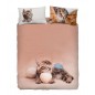 Bettbezug Set Bettwäsche BIZET Katze Imagine Bassetti