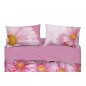 Set lenzuola Copriletto Matrimoniale GERBERA Imagine Bassetti