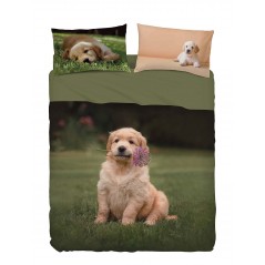 Komplettes Bettwäsche / Tagesdecke Einzelbett PONGO BASSETTI