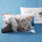 Set Lenzuola Copriletto Una Piazza WOOL CAT Imagine Bassetti