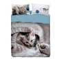 Sheet Set Cover single bed WOOL CAT Imagine Bassetti
