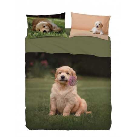 Double Bed Size Sheet set PONGO Imagine Bassetti