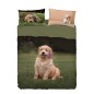 Double Bed Size Sheet set PONGO Imagine Bassetti