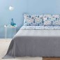 Parure de draps Zucchi LILIUM en Percale pour lit double