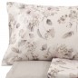 Parure de draps Zucchi DALIA Beige en Percale pour lit double