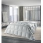 Couette 200x200 cm Molina 100 % Duvet d'oie pur 5 étoiles Hiver