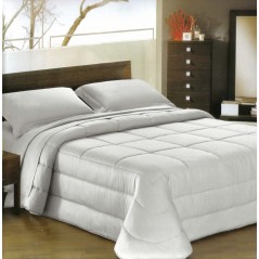 Daunenbett Comforter Ines satin silver