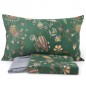 Parure de Drap Pour Lit Double Sikar Vert Bassetti